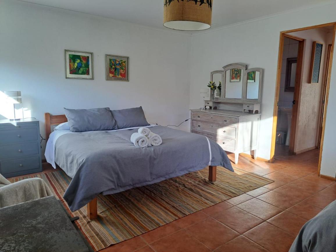 Villa Refugio Del Salto -Radal 7 Tazas à Molina  Extérieur photo